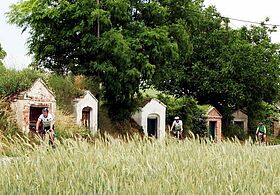 Ausflug mit Rädern, Weinviertel Tourismus, Falch