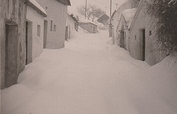 Kellergasse in Dobermannsdorf