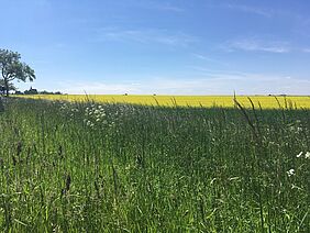 Blick nach Fallbach