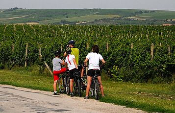 Herrnbaumgarten nach Angern, Weinviertel Tourismus, Mandl