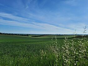 Wiesenkräuterweg