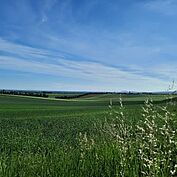 Wiesenkräuterweg