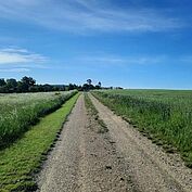 Wiesenkräuterweg