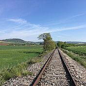 Weinvierteldraisine