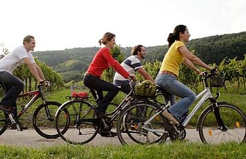 Blauberger Radweg, Weinviertel Tourismus, Wurnig