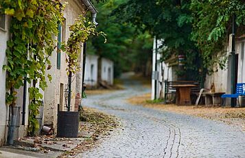 Kellergasse Poysdorf_Vinoversum