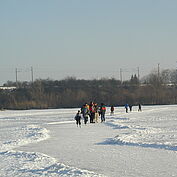 Eislaufen am Landschaftsteich