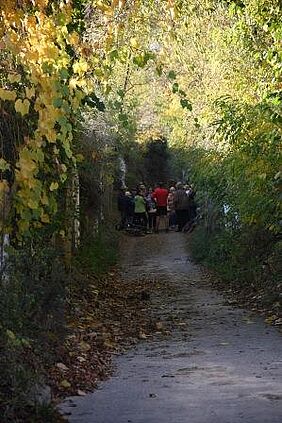 Kellergasse Grasingerweg