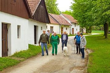 Kellergasse Zwentendorf