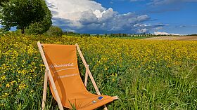 Weinviertel-Liegestuhl