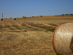 Strohballen in Wolfpassing