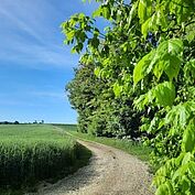 Wiesenkräuterweg