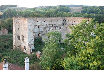 Ruine Wenzersdorf