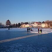 Eislaufen am Zapfenteich