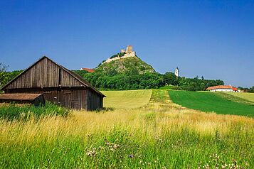 Ruine Staatz