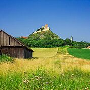 Ruine Staatz