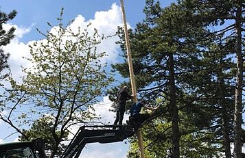 Maibaum aufstellen; BC