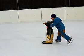 Eislaufen im Weinviertel