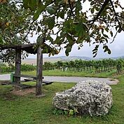 Rastplatz Siebenbergeblick