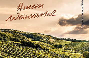 #meinWeinviertel Logo