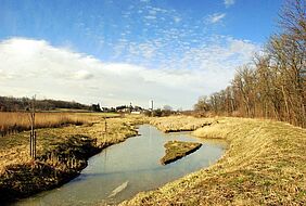 Retentionsbecken Wenzersdorf